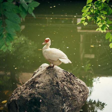 Chompor Lanna Hotel Chiang Mai Exterior photo