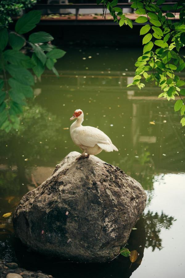Chompor Lanna Hotel Chiang Mai Exterior photo
