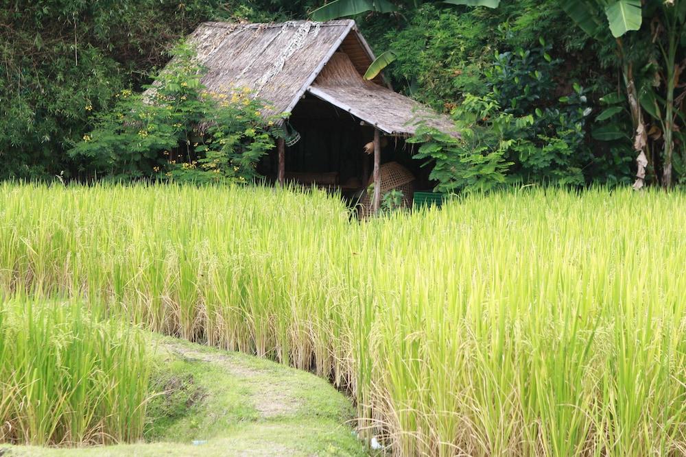 Chompor Lanna Hotel Chiang Mai Exterior photo
